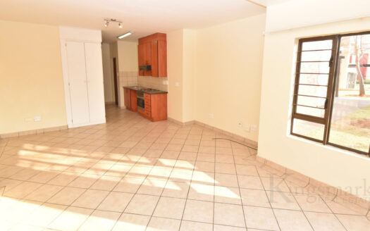 Ground floor studio apartment